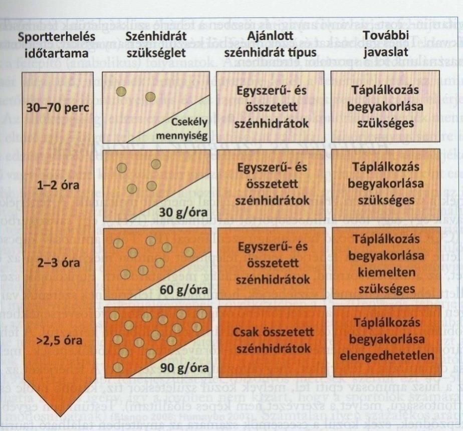 32 5.ábra Egyszerű és összetett szénhidrát beviteli típusai az idő függvényében [27] A legújabb kutatás szerint biokémiai mérések igazolták, hogy az izom regenerációjához, szénhidrátfeltöltéséhez