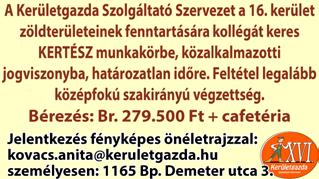 Oktatás Egyéni vagy kiscsoportos német és francia nyelvoktatást, nyelvvizsgára felkészítést, korrepetálást vállal XVI. kerületi diplomás nyelvtanárnő 25 éves gyakorlattal.