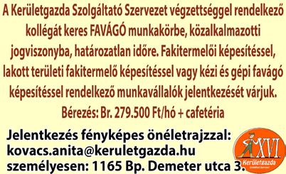 Bringasáv a Rákosi úton Ismét kétirányú lett a Rákosi út alsó fele, ahol hatalmas munkálatok zajlottak eddig: csapadékcsatornát építettek ki a Csillag utcai gyűjtőhöz, közműveket cseréltek, és