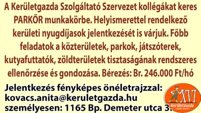 Látványosan bontották a házat augusztus közepén a Milán utcában. Ha jól megnézünk egy száz ével ezelőtt készült fafödémet, akkor láthatjuk, hogy bizony akkoriban nem spóroltak az anyaggal.