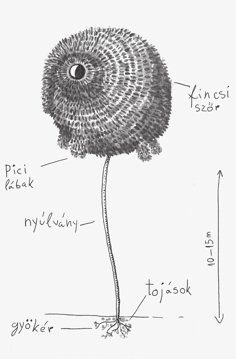 Alapvetően fontos, hogy a gyermekkönyv-illusztrációk a leghozzáértőbben megformált, friss, önálló vizuális világként jelenjenek meg.