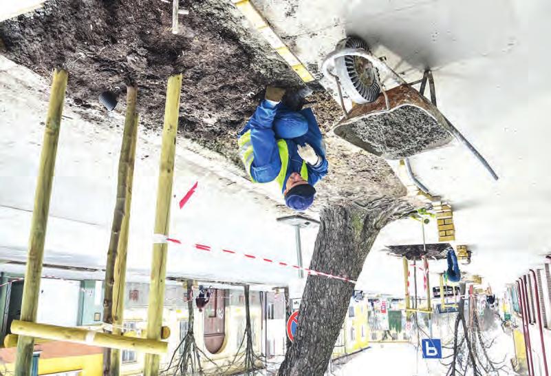 bedöntötte a Szeviépet a szegedi villamosprojekttel. A Szeviép önállóan semmilyen munkát nem nyert a Botka vezette Szegeden.