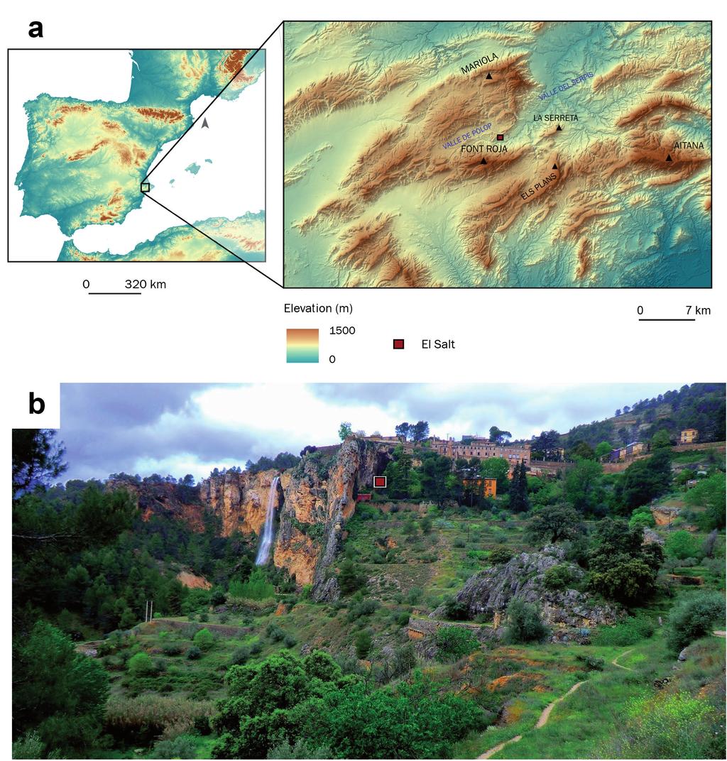 SMALL VERTEBRATES FROM A HOLOCENE GRAVELLY DEPOSIT AT EL SALT (ALCOI, ALICANTE) 1975), Cueva Soterraña (Sarrión, 1982), Cueva Merinel (Blay García, 1992), Loma de Betxí (Sarrión, 1998; Tormo Cuñat &