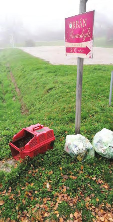 Városgazdálkodás Beszámoló a Velence Városgazdálkodási Kft. október-novemberi munkájáról Így év vége felé az ember számot vet azzal, mi mindent kellett csinálnia, mi mindennel kellett megküzdenie.