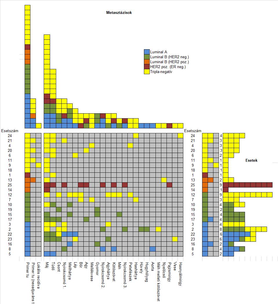 1. ábra: A primer tumorok és távoli áttéteik altípusa 3. A metasztázisok jobban hasonlítottak egymásra, mint a primer tumorokra, melyekből származtak.