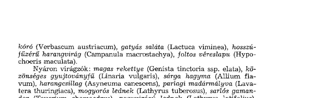 kóró (Verbascu m austriacum), gatyás saláta (Lactuc a viminea), hosszúfűzérű harangvirág (Campanula macrostachya), foltos véreslapu (Hypo - choeris maculata).