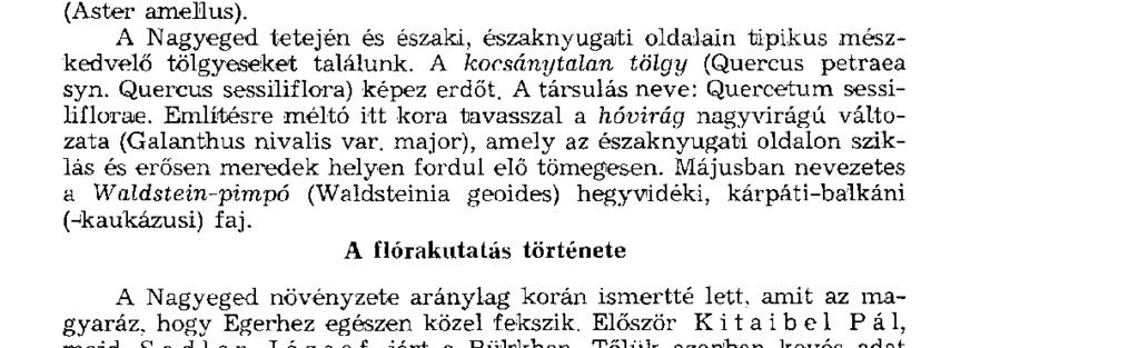 , Satureja), budai imola (Centaurea Sadleriana), pannóniai endemizmus, vastövű- és útszéli imola (Centaurea scabiosa et micranthos), kardos peremizs (Inula ensifolia), pontusi-pannoniai faj, sárga