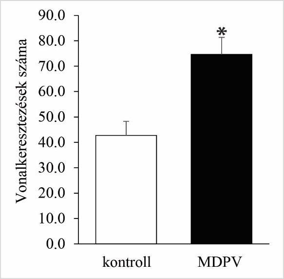 8. ábra. A vemhesség alatti MDPV adagolás hatása a 7 napos utódok lokomotor aktivitására.