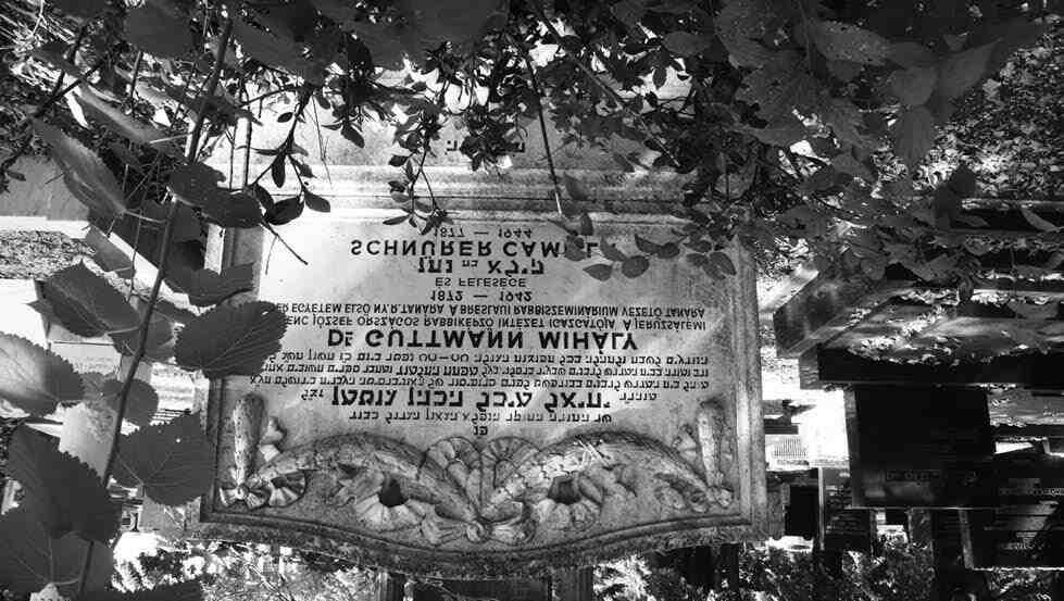 159-173 15 Oláh Gutman.qxp_Layout 1 202
