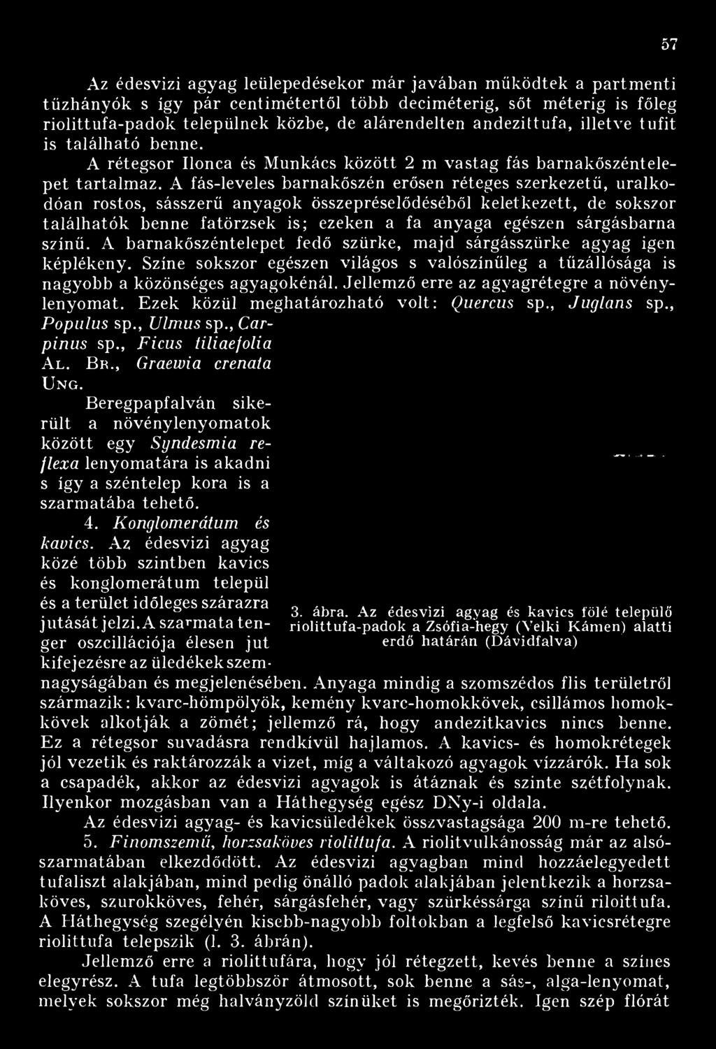 A fás-leveles barnakőszén erősen réteges szerkezetű, uralkodóan rostos, sásszerű anyagok összepréselődéséből keletkezett, de sokszor találhatók benne fatörzsek is; ezeken a fa anyaga egészen