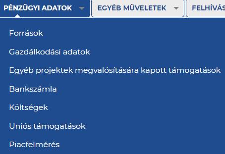 ELEKTRONIKUS PÁLYÁZÓ TÁJÉKOZTATÓ ÉS KOMMUNIKÁCIÓS RENDSZER ADATLAPOK III. Pénzügyi adatok: - Források - Gazdálkodási adatok (utolsó 2 lezárt év adatai (pl.