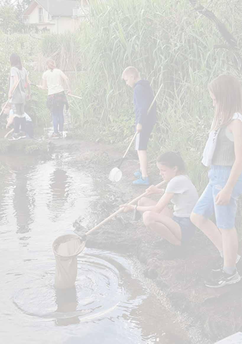 11 HELYI ÉRTÉKEK A TANÍTÁS SZOLGÁLATÁBAN Szigetszentmiklósi Batthyány Kázmér Gimnázium beszámolója Két évtizedes hagyománya van a Batthyány Kázmér Gimnáziumban az 5. évfolyamosok erdei iskolájának.