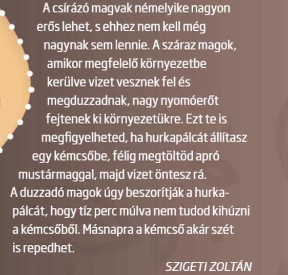 2. sz.