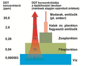 anyagot, például a nikotint és a piretrint. Később ezeket kezdték kiszorítani a szintetikus szerves anyagok, melyek gyártása exponenciálisan növekedett világszerte kb. 1980-ig. A II.