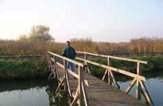 cooperative contact with Institute of Plant Protection of University of Debrecen, Hungary since more than ten years.