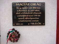 150 Növényorvos képzés Debrecenben A Tiszántúli Növényvédelmi Fórum (TNF) negyed százada (1996 2021)... 151 cid-toleranciájáról (El-Naggar et al., 2008).