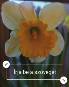 kínálnak a felhasználók számára, de azokat jóval