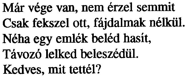 Szenvedésed nem érhet véget. Hová mentél?