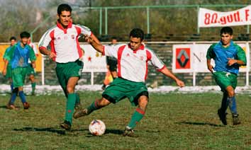 Mezei before the 2013 tournament in Salgótarján A