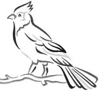 A SEPRŰFARKÚ MADÁR Volt egyszer egy seprűfarkú madár. Nagyon szomorú volt, mert szeretett volna sepregetni, de nem volt munkája.