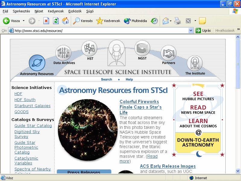 A nagyobb cégek és egyéb intézmények szinte mindegyike rendelkezik saját domain név alatt elérhető weboldalakkal. Például a Space Telescope Science Institute oldalait a http://www.stsci.