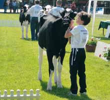 helyen végzett a 8822 JULI nevű, RICHMAN x Saphir apaságú vemhesüsző. Tenyésztője és tulajdonosa a Biharnagybajomi Dózsa Agrár Zrt., Biharnagybajom. 5.