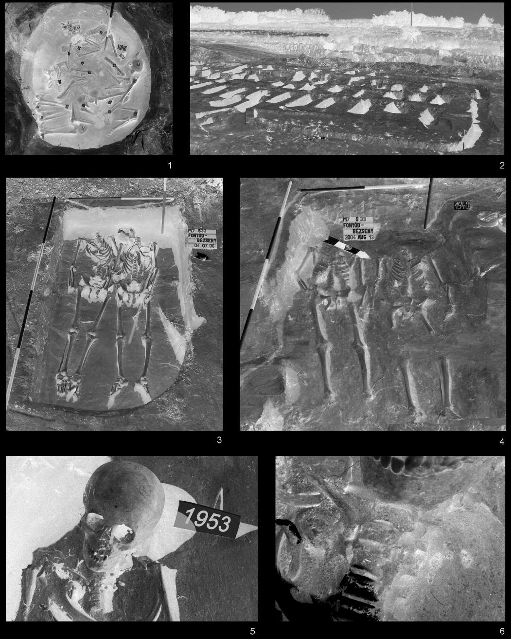 36 HONTI SZILVIA ET AL. XI. tábla Fonyód Bézsenypuszta: 1. Török kori tömegsír (1625. objektum); 2. Török kori temetõ részlete; 3-4.