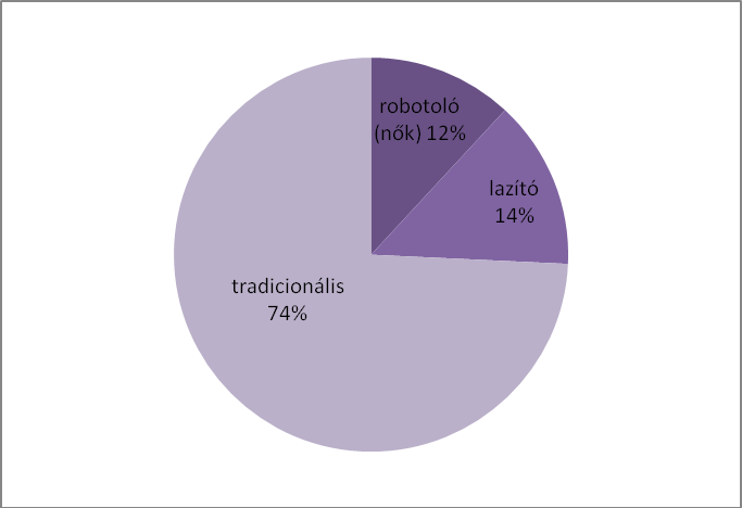 10. ábra: Háztartási munkák elvégzése K-means klaszterelemzés, n=12510 Amennyiben csak a nők megkérdezésével végezzük el a klaszterek szerinti szegmentálást, a fent vázolt kép megerősítést nyert (6.