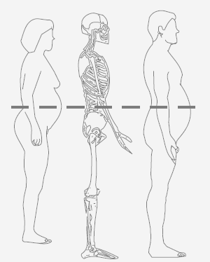 1. ábra. A haskörfogat mérése (forrás: The Practical Guide Identification, Evaluation, and Treatment of Overweight and Obesity in Adults.