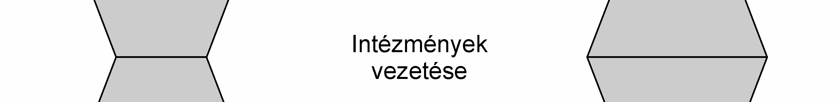 (Hrubos, 1994; 2001) Mindennek eredményeként a felsıoktatási modellek olyannyira homogenizálódtak, hogy a hatalom megoszlása tekintetében már csupán két modellrıl beszélhetünk; a kontinentális