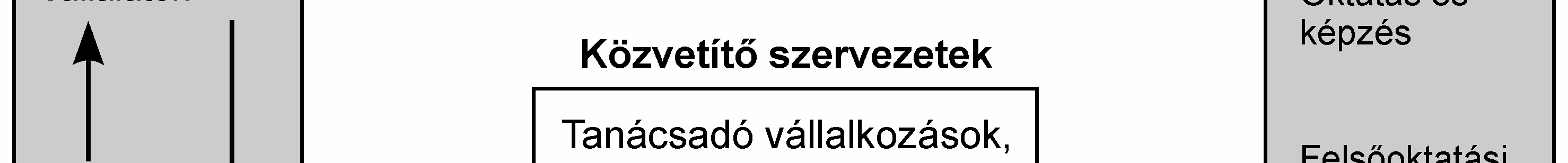 A nemzeti innovációs rendszer kölcsönhatásban van a makrogazdasági és a szabályozási környezettel, a piaci tényezıkkel, az oktatási és