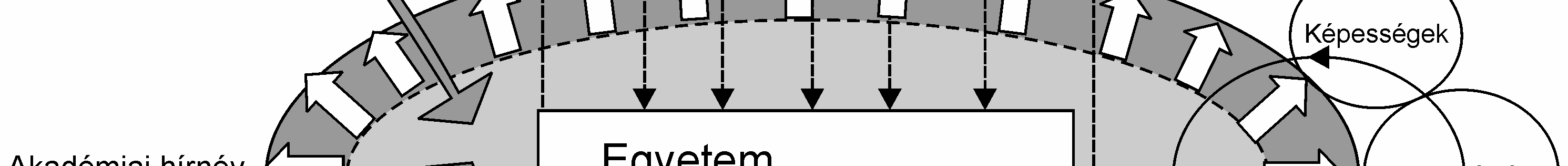 Ez a körülmény a Triple Helix modell alkotói szerint rámutatott az egyetem-ipar-kormányzat kapcsolatok megjelenésére és intenzifikálódására, beleértve az