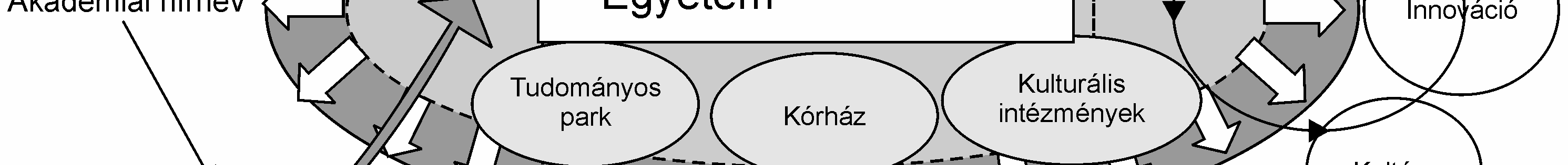 Etzkowitz (2002b) szerint a modell alkalmazásának célja éppen az, hogy megsokszorozza az akadémiai kutatásból származó intellektuális tıke mennyiségét