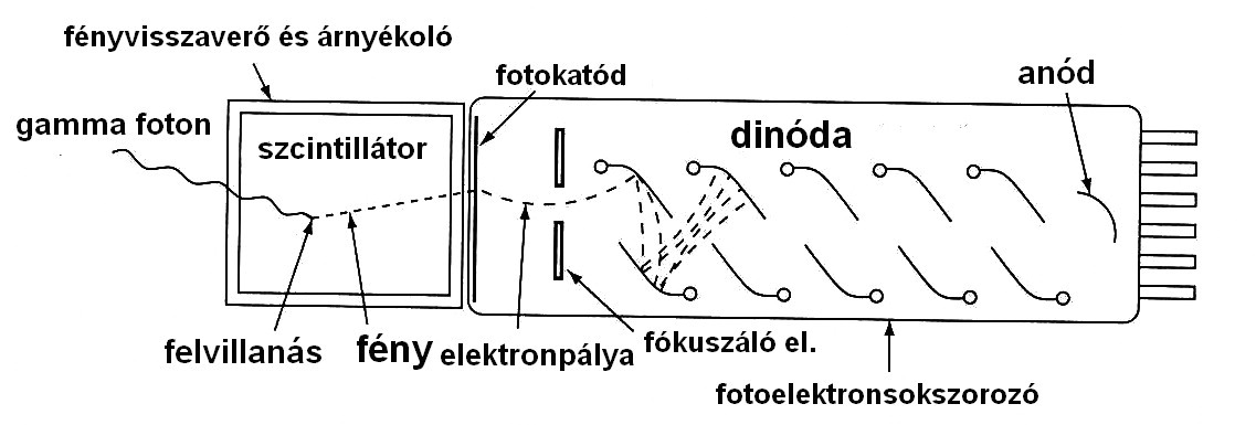 GAMMA-SPEKTRUMOK KIÉRTÉKELÉSÉNEK MATEMATIKAI MÓDSZEREI I. márpedg ez eg ag hatásfokú spektrométerek elegedhetetle feltétele. A 2. ábrá látható eg szctllácós detektor vázlatos felépítése. 2. ábra Eek fő része tehát eg ag méretű szctllátor egkrstál (kb.