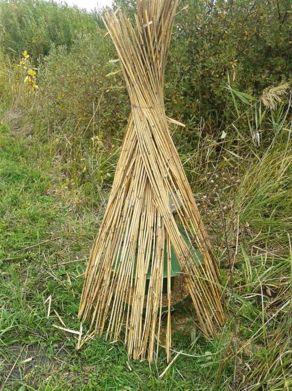 tört szemet is. A takarmányváltás így zökkenőmentesen sikerült. Az itatást önitatókkal oldottuk meg, először a ládáknál, majd a nevelő környékén bővítettünk egyre nagyobb körben.