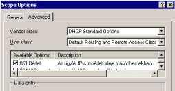 Előre beállított User class opció alkalmazása Az opciók többsége a DHCP standard Options szállítói osztályba tartozik. Az azonban, hogy mely user classba soroljuk, rajtunk múlik.