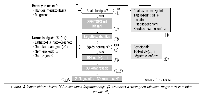 Nem tétel, de hasznos info: Betegvizsgáló eljárások, a balesetes levetkıztetése.