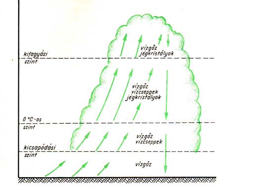 11. ábra.