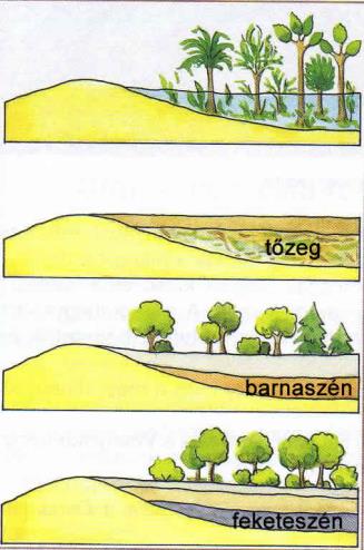 A kísérlet leírása: 1. A tanulók előtt egy-egy darab fekete- és barnakőszén, lignit és tőzeg van. 14. ábra 2. Hogyan keletkeztek? Miből tudunk következtetni a keletkezésükre? 3.