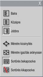 Szövegstílussal kapcsolatos vezérlőelemek A Szövegszerkesztő szerkesztőablakának jobb felső részén található csoport vezérlőelemei nem ismeretlenek azok számára, akik már használtak szövegszerkesztő