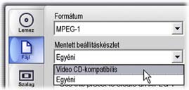 Az MPEG család további tagja az MPEG-4, mely az MPEG-2-höz hasonló képminőséget tesz lehetővé még nagyobb fokú tömörítés mellett, így különösen alkalmas megoldás az interneten továbbított