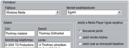 Windows Media fájlok készítésének beállításai A Windows Media fájl készítése párbeszédpanelen a Windows Media Player fájlok létrehozásának beállításai adhatók meg.