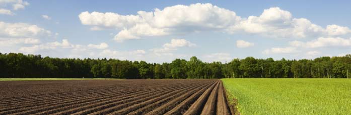 A helyes mezőgazdasági gyakorlat A Helyes Mezőgazdasági Gyakorlat komplex szempontrendszer szerint került kialakításra, mely a vízbázisvédelmi elveket is figyelembe veszi.