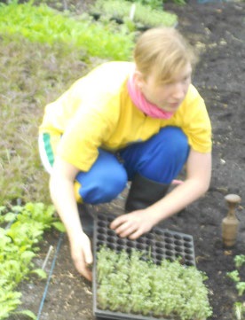 Frankham / iskolakertész, Londonból Andrew Chilton / kertész,
