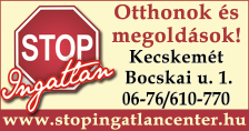 www.keszin.hu 5 KECSKETMÉT Széchenyivárosban Irinyi u. 46. sz. alatt 2 szobás, 55 nm-es, I. emeleti lakás 2015. március 1-jétől kiadó. Érdeklődni munkaidőben 76/414-883-as telefonon. Irányár: 40.