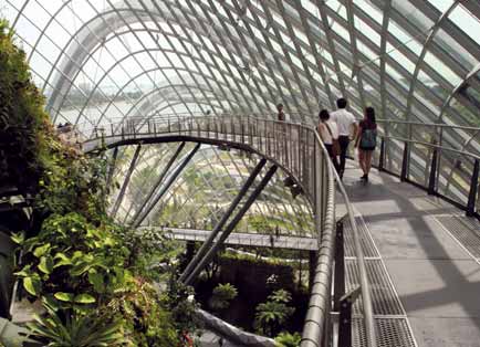 Alattunk függőfolyosók és ösvények hálózata, de ahogy távolra tekintünk, Szingapúr felhőkarcolóit látjuk a vakító fényben, egy egészen szürreális táj hátterében DZSUNGEL- KÖRFOLYOSÓ Sehol a világon