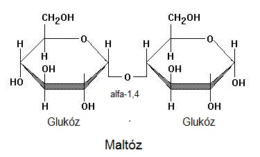 Mivel a szacharózban mindkét monoszacharid glikozidos OH-csoportja részt vesz a kötésben, nincs lehetőség nyílt láncú, karbonilcsoporttal rendelkező szerkezet felvételére; a szacharóz tehát nem