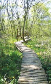 megjelenteket pedig arra buzdította, hogy családjukkal együtt jöjjenek vissza, mert Vác egy vendégszerető város.