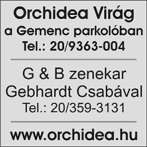 2010. január 17. KÖZLEMÉNYEK 15 KÖZLEMÉNY DIABETES ELÕADÁS. A Tolna Megyei Felnõtt Diabetesesek Egyesületének január 26-i elõadásán dr.