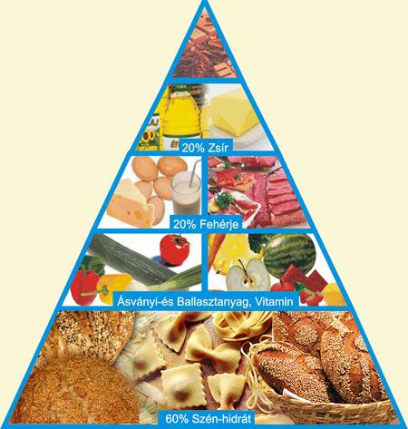 10. ábra Táplálkozási piramis Először azt vizsgáltuk, hogy milyen pékárut fogyasztanak a hallgatók, milyen gyakorisággal fogyasztják az egészségesebb barna, vagy teljes kiőrlésű kenyeret/pékárut,